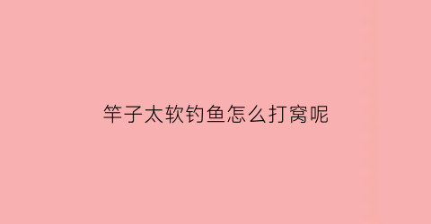 竿子太软钓鱼怎么打窝呢(竿子软了不好抛投吗)