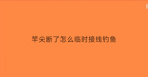 竿尖断了怎么临时接线钓鱼(竿尖断了怎么临时接线钓鱼呢)