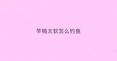 竿梢太软怎么钓鱼(竿稍太软怎么办)