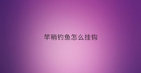 竿稍钓鱼怎么挂钩(竿稍钓鱼怎么挂钩图解)