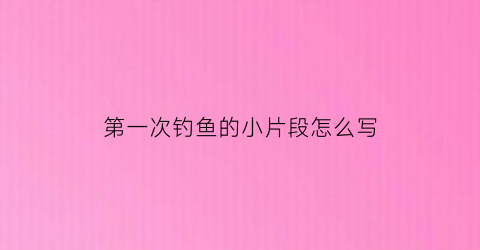 “第一次钓鱼的小片段怎么写(第一次钓鱼的小片段怎么写的)