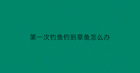 “第一次钓鱼钓到草鱼怎么办(第一次钓上鱼)