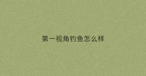 第一视角钓鱼怎么样(zsmj第一视角)