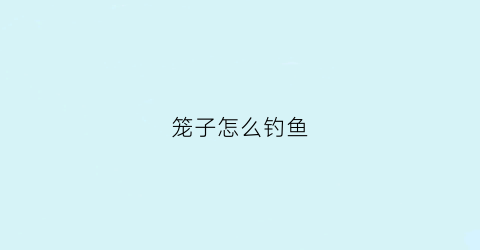 笼子怎么钓鱼(笼子钓鱼铅坠位置最佳图)