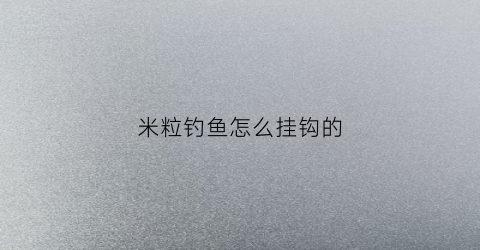 米粒钓鱼怎么挂钩的(米粒钓鱼怎么挂钩的视频教程)