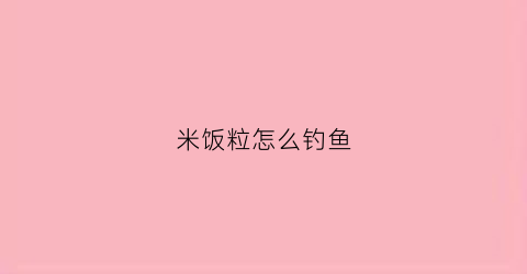米饭粒怎么钓鱼(米饭粒钓鱼技巧)