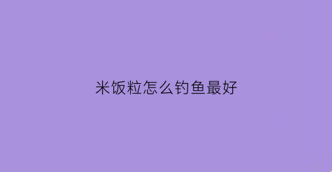 米饭粒怎么钓鱼最好(米饭粒怎么钓鱼最好呢)