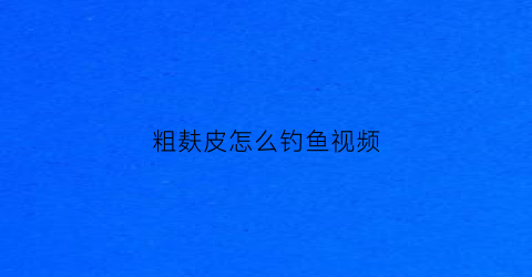 粗麸皮怎么钓鱼视频(粗麸皮怎么钓鱼视频教学)