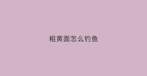 粗黄面怎么钓鱼(黄面野钓怎么开饵料)