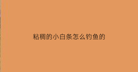 粘稠的小白条怎么钓鱼的(钓的小白条怎么吃)