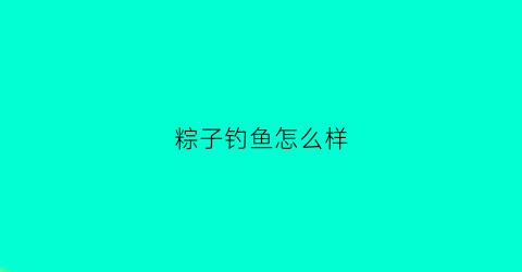 粽子钓鱼怎么样(钓粽子比赛图片)