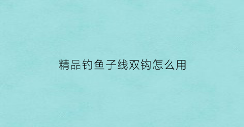 “精品钓鱼子线双钩怎么用(精品钓鱼子线双钩怎么用视频)