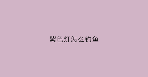紫色灯怎么钓鱼(紫色灯怎么钓鱼效果好)