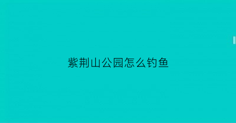 紫荆山公园怎么钓鱼(紫荆山公园可以野餐吗)