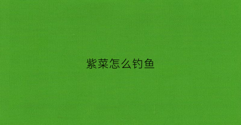 紫菜怎么钓鱼(紫菜钓草鱼的方法)
