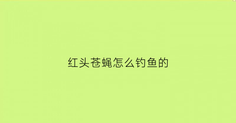红头苍蝇怎么钓鱼的(红头苍蝇养殖技术)