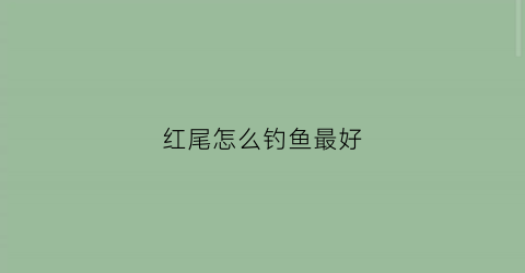 红尾怎么钓鱼最好(钓红尾鱼的技巧和方法视频)
