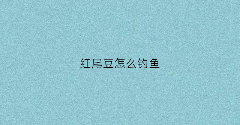 红尾豆怎么钓鱼(怎样钓红尾鱼它喜欢吃什么)