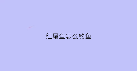 红尾鱼怎么钓鱼(红尾鱼怎么钓鱼视频)