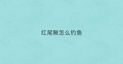 红尾鳅怎么钓鱼(红尾鳅怎么钓鱼效果好)