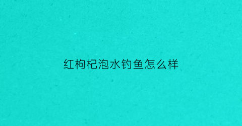 红枸杞泡水钓鱼怎么样(谁用枸杞钓过鱼)