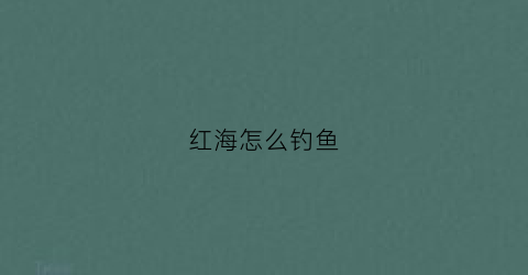 红海怎么钓鱼(红海滩钓鱼)