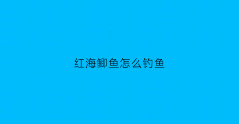 红海鲫鱼怎么钓鱼(海钓红鱼钓组)