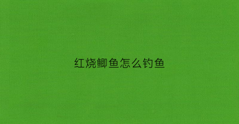 红烧鲫鱼怎么钓鱼(红烧鲫鱼怎么弄)
