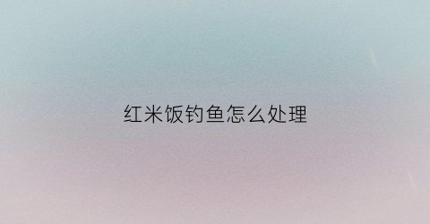 红米饭钓鱼怎么处理(红米饭钓鱼怎么处理的)