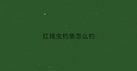 红线虫钓鱼怎么钓(红线虫饵料怎么挂钩)