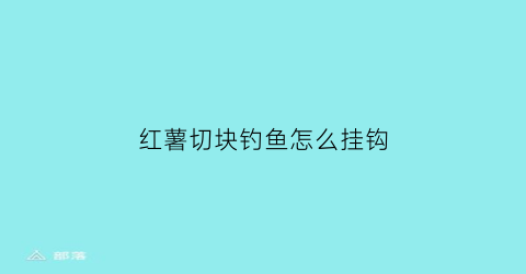 红薯切块钓鱼怎么挂钩(红薯块钓鱼挂钩法图片)