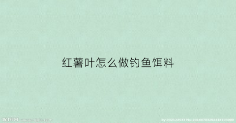 红薯叶怎么做钓鱼饵料(红薯叶怎么做钓鱼饵料好吃)