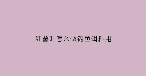 “红薯叶怎么做钓鱼饵料用(红薯叶做饲料有营养吗)