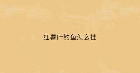 红薯叶钓鱼怎么挂(红薯叶可以给鱼吃吗)