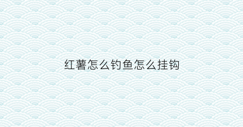 红薯怎么钓鱼怎么挂钩(红薯钓鱼怎么挂钩视频)