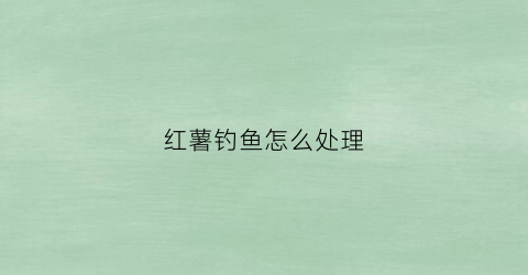 红薯钓鱼怎么处理(红薯钓鱼怎么样)
