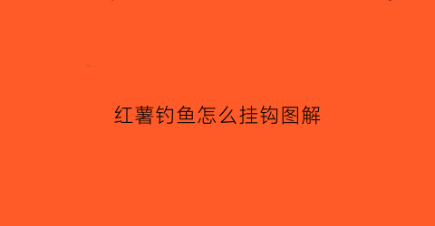 红薯钓鱼怎么挂钩图解(红薯钓鱼方法)