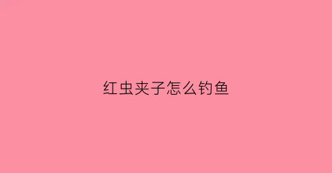 红虫夹子怎么钓鱼(红虫夹怎么挂钩图解)