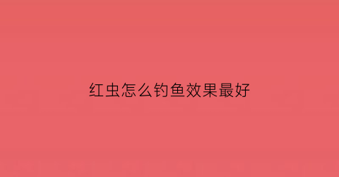 红虫怎么钓鱼效果最好(红虫钓鱼视频教程)