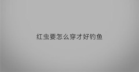 红虫要怎么穿才好钓鱼