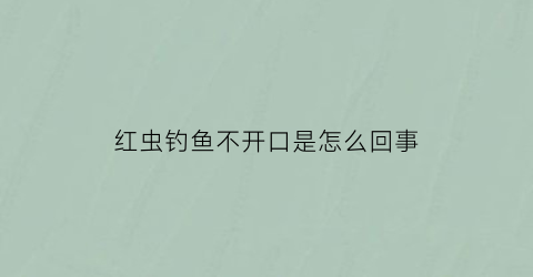 红虫钓鱼不开口是怎么回事