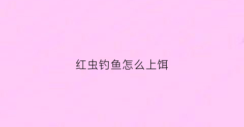 红虫钓鱼怎么上饵(红虫钓鱼怎么打窝子)