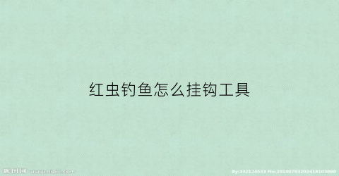 红虫钓鱼怎么挂钩工具(红虫怎么挂钩容易上鱼)