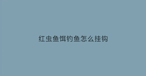 红虫鱼饵钓鱼怎么挂钩(红虫饵的挂法)
