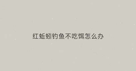 红蚯蚓钓鱼不吃饵怎么办(红蚯蚓钓鱼不吃饵怎么办呢)
