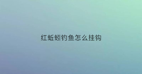 红蚯蚓钓鱼怎么挂钩(红蚯蚓饵料)