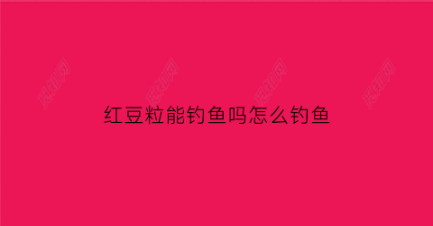 红豆粒能钓鱼吗怎么钓鱼(红豆可以钓什么鱼)