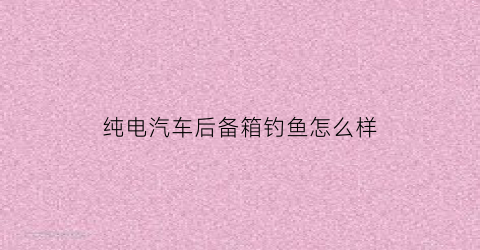 纯电汽车后备箱钓鱼怎么样(后备箱钓鱼装备)