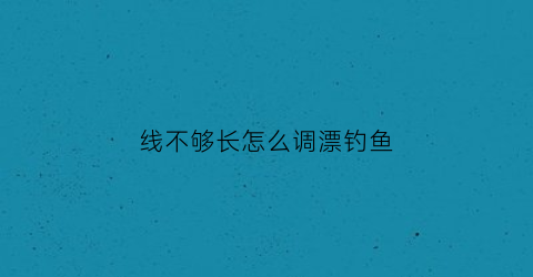 “线不够长怎么调漂钓鱼(线不够粗可以在并上一根吗)