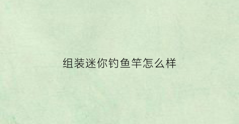 组装迷你钓鱼竿怎么样(组装迷你钓鱼竿怎么样知乎)